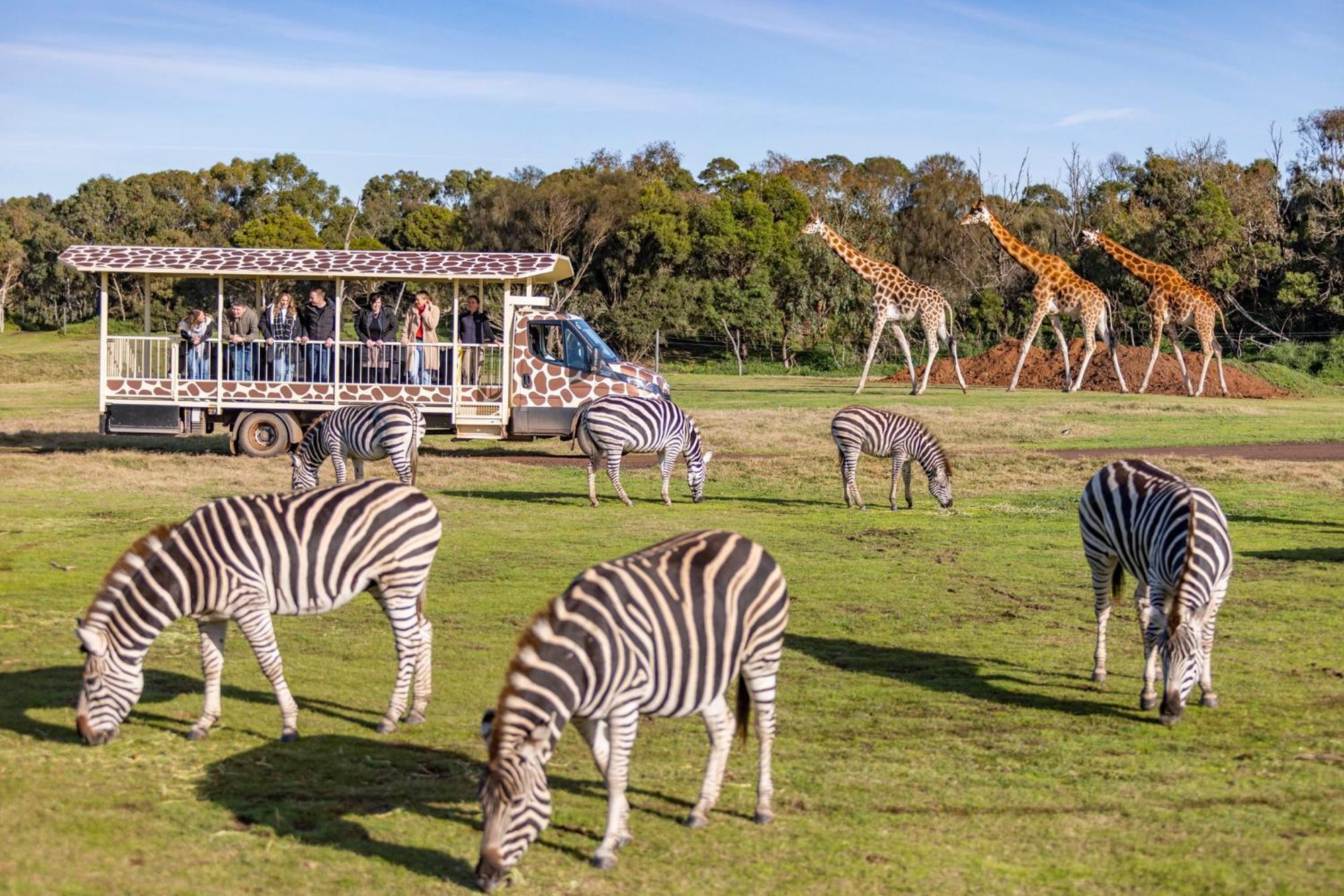 Holiday Inn Werribee By Ihg Экстерьер фото